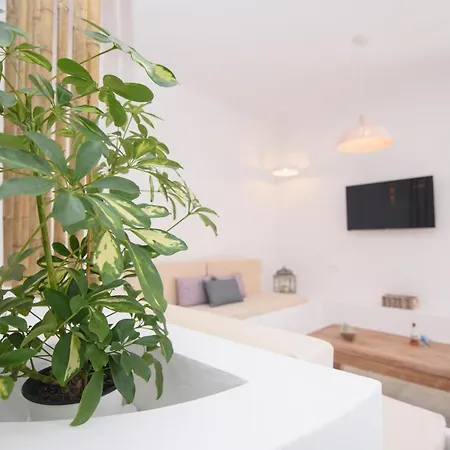 μούσες Διαμέρισμα